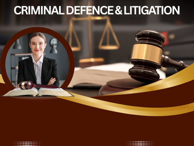 Criminal Lawyer